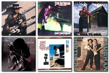 STEVIE RAY VAUGHAN / BOX SET (Limited Edition) [200g 12LP 45rpm]